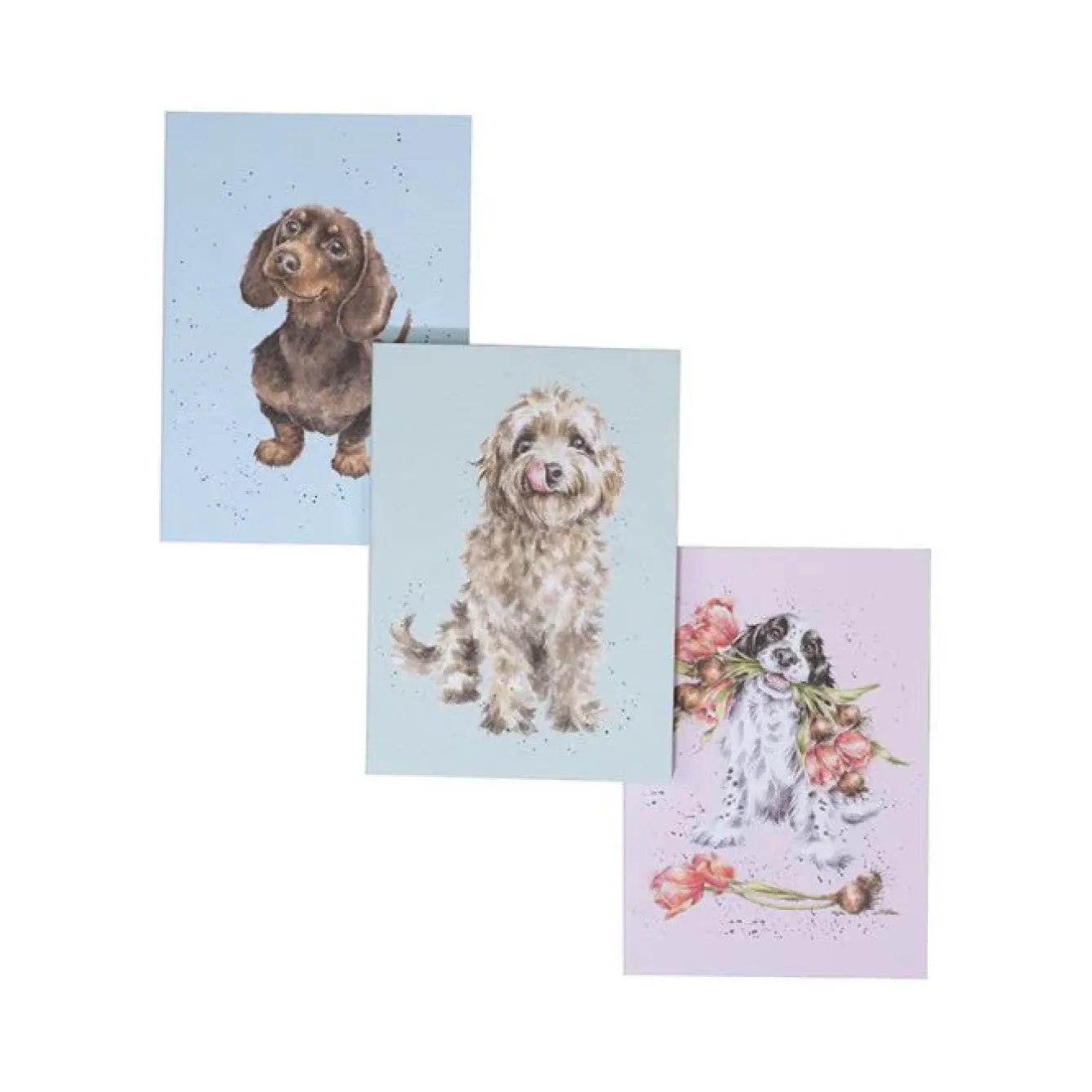 Wrendale Designs Stationery|Pets-A Dog's Life - Set of 3 Notebooks