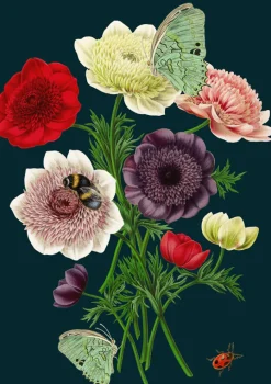 Madame Treacle Greeting Cards-Anemones Greetings Card