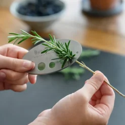 Burgon & Ball Gardening-Asteraceae Herb Set