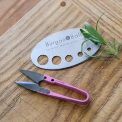 Burgon & Ball Gardening-Asteraceae Herb Set