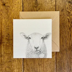 Katherine Sheard Designs Greeting Cards-Baaley Greetings Card
