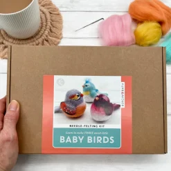 Bergin & Bath Crafts-Baby Birds Needle Felting Kit