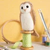 Hawthorn Handmade Crafts-Barn Owl Needle Felting Kit