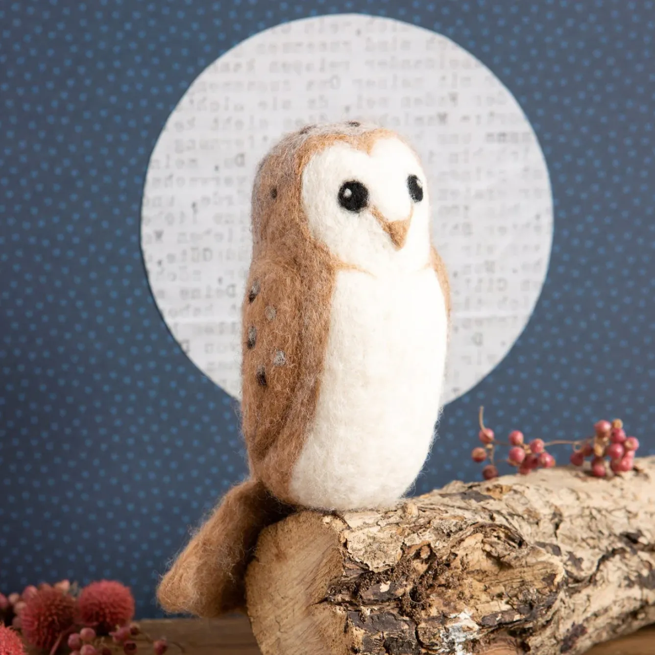 Hawthorn Handmade Crafts-Barn Owl Needle Felting Kit