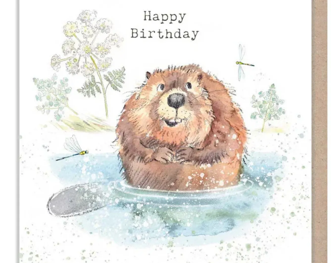 Paper Shed Design Greeting Cards-Beaver - "Happy Birthday" Greetings Card