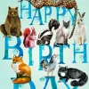 Madame Treacle Greeting Cards-Birthday Animals Greetings Card