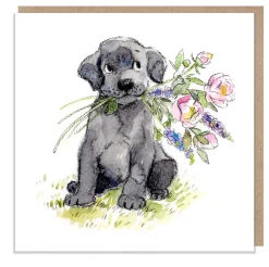 Paper Shed Design Greeting Cards-Black Labrador with Flowers Greetings Card