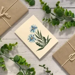 Becky Amelia Greeting Cards-Blue Daisies Greetings Card