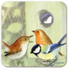 Emma Ball Coasters-British Birds 1 Coaster