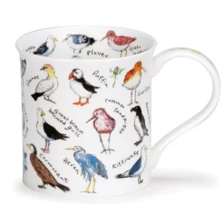 Dunoon Animals|Animals-Bute Birdlife Coastal Birds