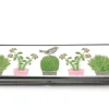 Thornback & Peel Storage-Cactus & Bird Pencil Set