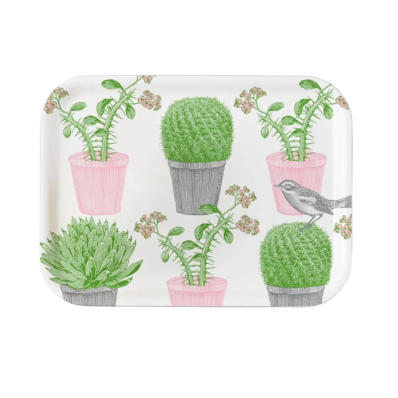 Thornback & Peel Trays-Cactus & Bird Small Tray