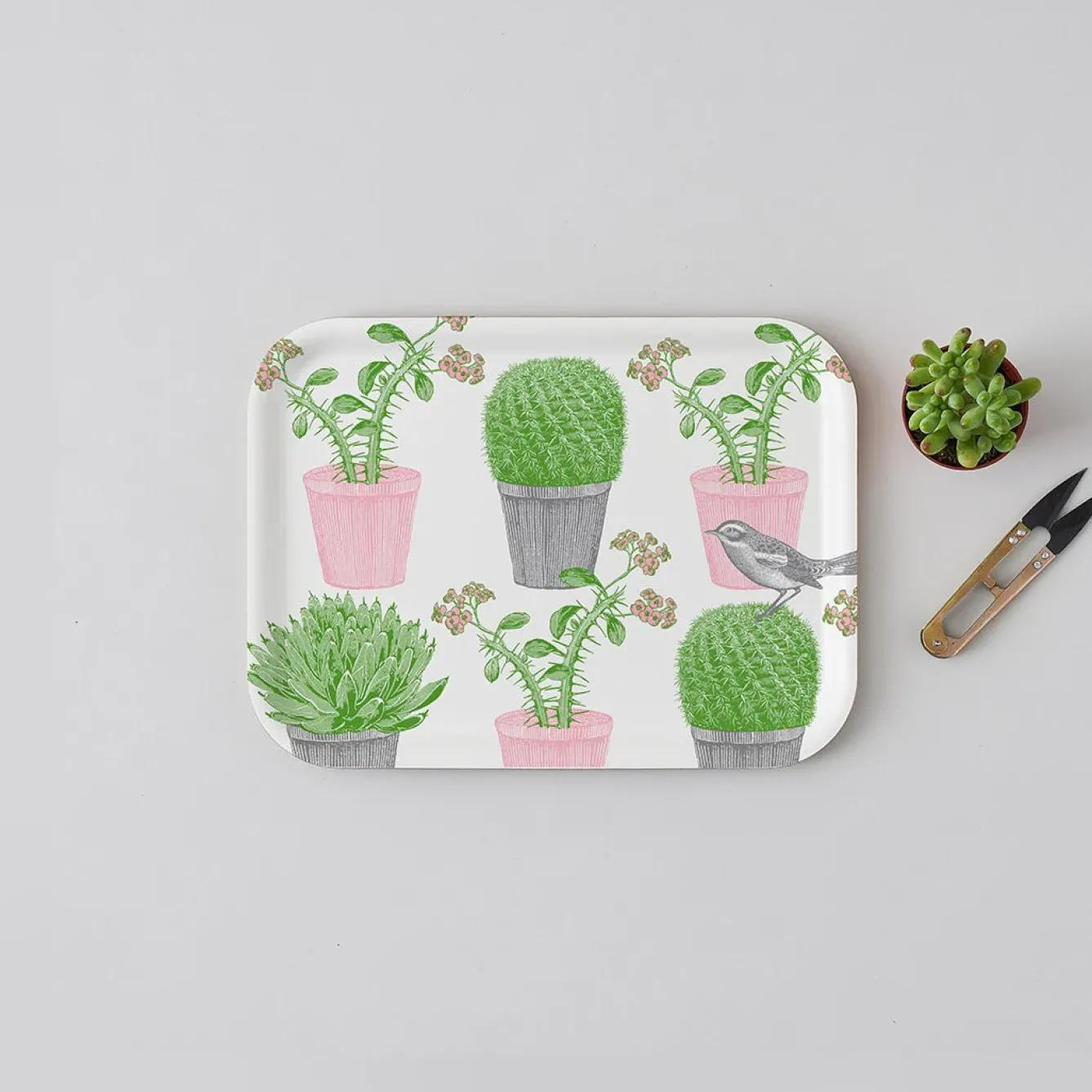 Thornback & Peel Trays-Cactus & Bird Small Tray