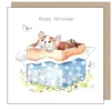 Paper Shed Design Greeting Cards-Cat in a Box "Happy Birthday" Greetings Card