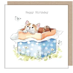Paper Shed Design Greeting Cards-Cat in a Box "Happy Birthday" Greetings Card