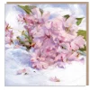 Paper Shed Design Greeting Cards-Cherry Blossoms by Dan O'Brien Greetings Card