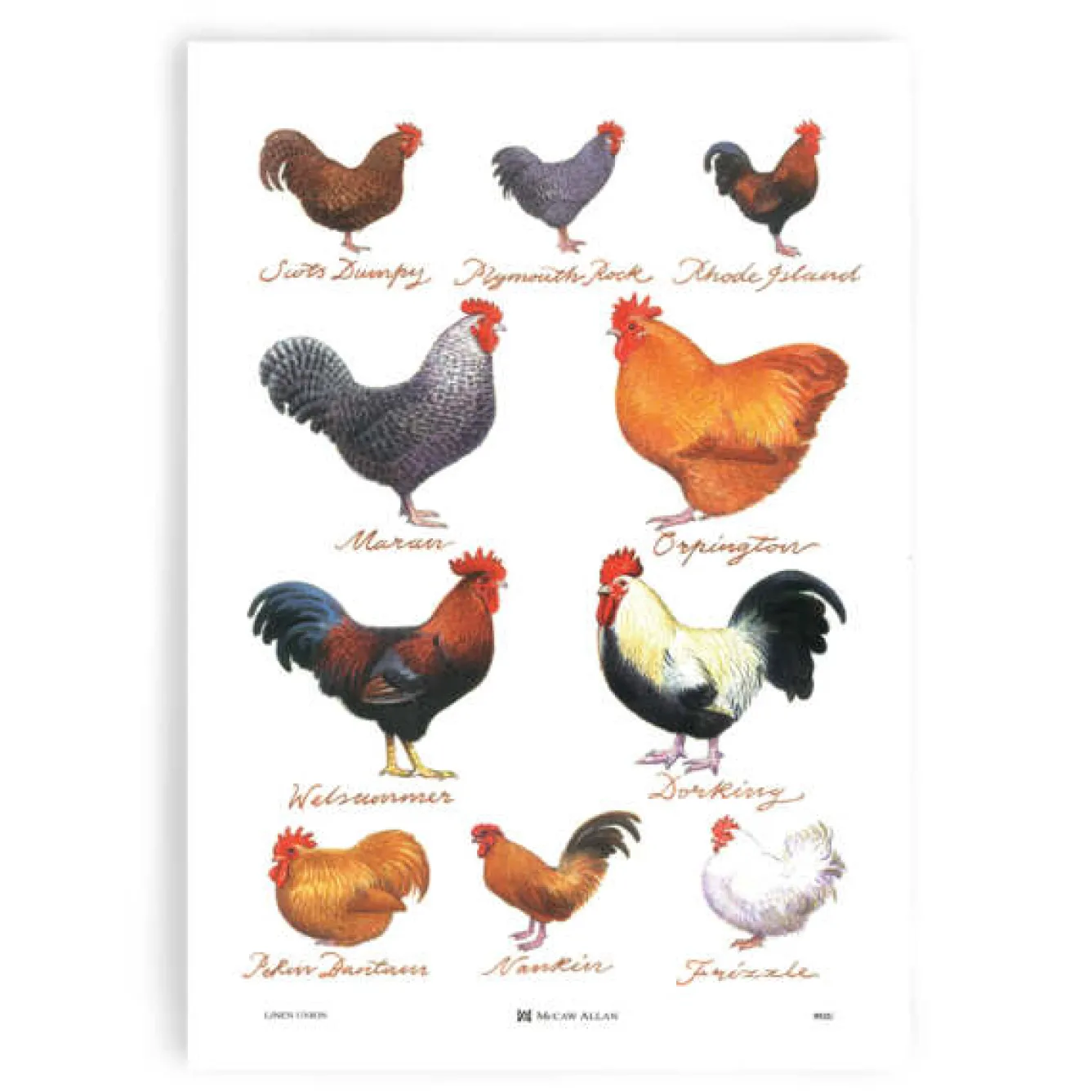 Samuel Lamont Tea|Tea Towels-Chicken Breeds Cotton Tea Towel