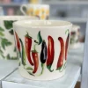 Emma Bridgewater Kitchenware-Chili Plant Pot