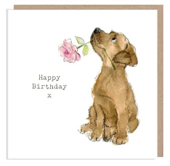 Paper Shed Design Greeting Cards-Chocolate Labrador with Pink Rose "Happy Birthday" Greetings Card