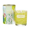 Love Olli Home Fragrance-Clean Cut Grass Signature Candle in Glass