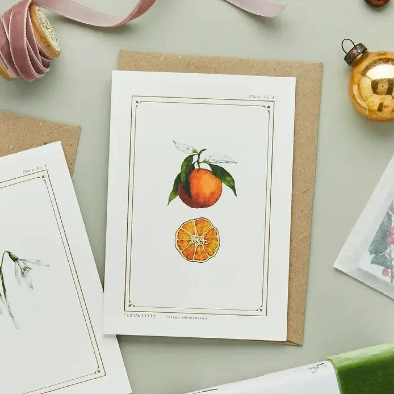 Catherine Lewis Greeting Cards-Clementine - 'Botanical Archive: Festive Edition' - card