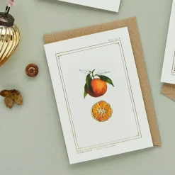 Catherine Lewis Greeting Cards-Clementine - 'Botanical Archive: Festive Edition' - card