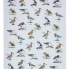Ulster Weavers Tea|Tea Towels-Coastal Birds Cotton Tea Towel