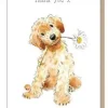 Paper Shed Design Greeting Cards-Cockapoo with Daisy "Thank You" Greetings Card