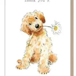 Paper Shed Design Greeting Cards-Cockapoo with Daisy "Thank You" Greetings Card