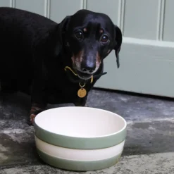 Cornishware Pets|Bowls & Dishes-Dog Bowl
