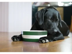 Cornishware Pets|Bowls & Dishes-Dog Bowl
