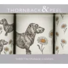 Thornback & Peel Storage Caddies|Storage-Dog & Daisy Set of 3 Round Caddies