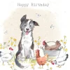Paper Shed Design Greeting Cards-Dog With Chickens "Happy Birthday" Greetings Card