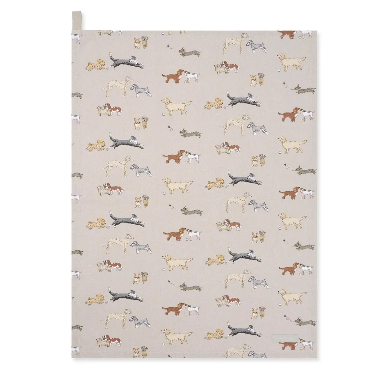 Sophie Allport Tea|Tea Towels-Doggy Daycare Tea Towel