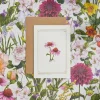 Catherine Lewis Greeting Cards-Echinacea - 'Botanical Archive: Everyday Edition' - card