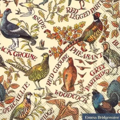 Emma Bridgewater Picnic|Napkins-Game Birds Paper Napkins