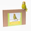 Bergin & Bath Crafts-Gertrude the Green Budgie Needle Felting Kit