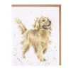 Wrendale Designs Greeting Cards-'Golden Boy' Blank Greetings Card