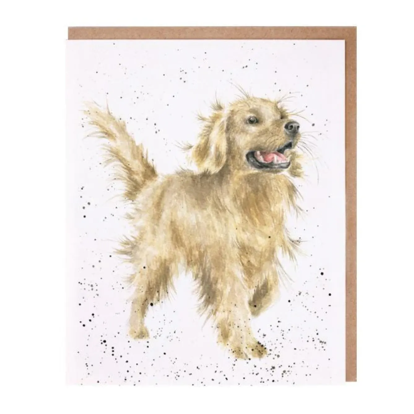 Wrendale Designs Greeting Cards-'Golden Boy' Blank Greetings Card