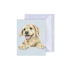 Wrendale Designs Greeting Cards-'Golden Boy' Labrador Gift Enclosure Card