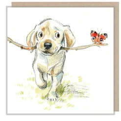 Paper Shed Design Greeting Cards-Golden Lab with Stick & Butterfly Greetings Card