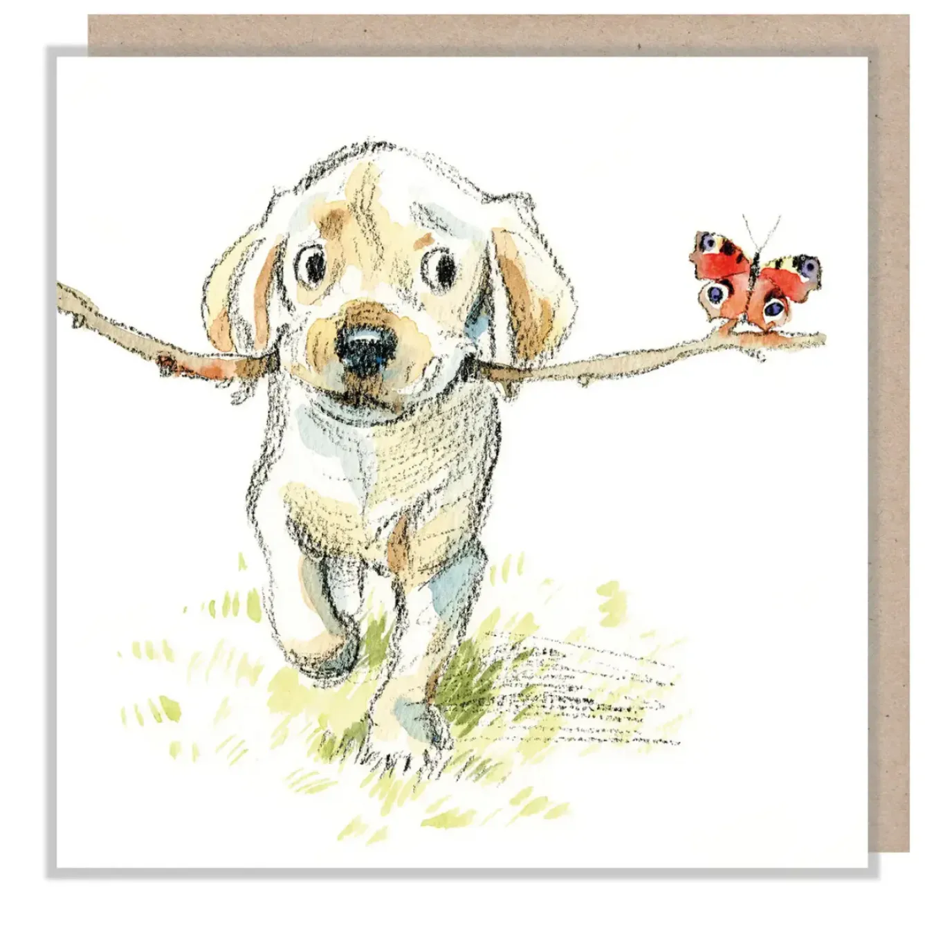 Paper Shed Design Greeting Cards-Golden Lab with Stick & Butterfly Greetings Card