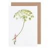 Laura Stoddart Greeting Cards-Green Ammi Blank Greetings Card