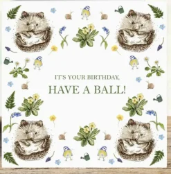 West Country Designs Greeting Cards-'Have A Ball' Hedgehogs Birthday Card