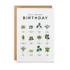 Everlong Print Co. Greeting Cards-Have a Plantastic Birthday Card