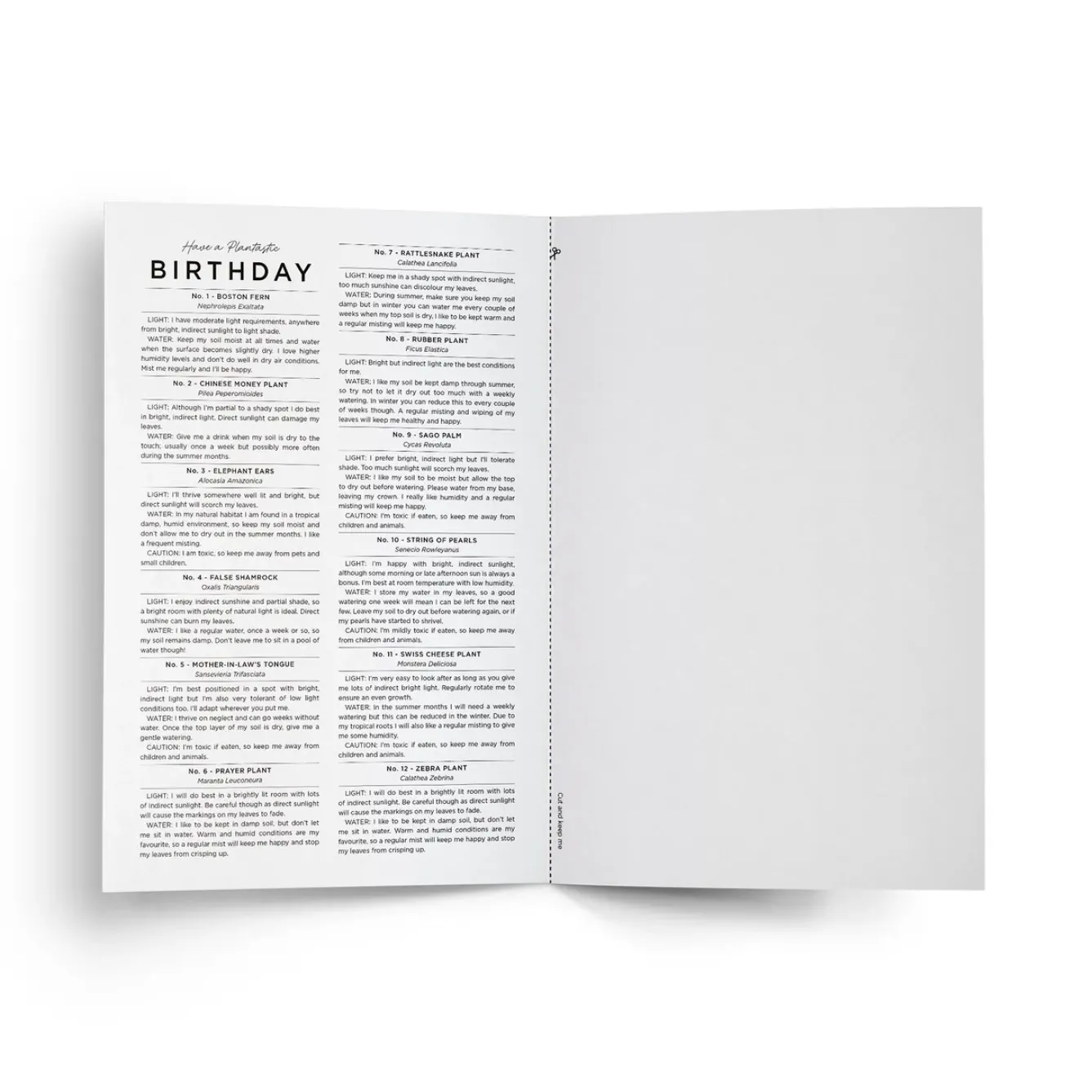 Everlong Print Co. Greeting Cards-Have a Plantastic Birthday Card