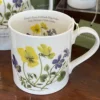 Sophia Davenport Flowers & Garden-Heart's Ease & Heath Dog Violet Mug