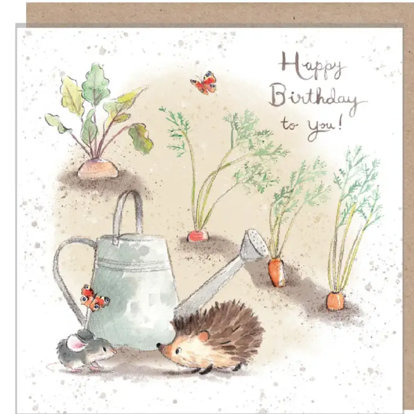 Paper Shed Design Greeting Cards-Hedgehog and Mouse with Watering Can "Happy Birthday to You" Birthday Greetings Card