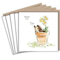 Paper Shed Design Greeting Cards-Hedgehog in a Flower Pot "Thank You" Set of 5 Notecards