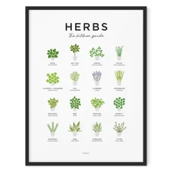 Everlong Print Co. Art-Herbs Guide Print - Framed